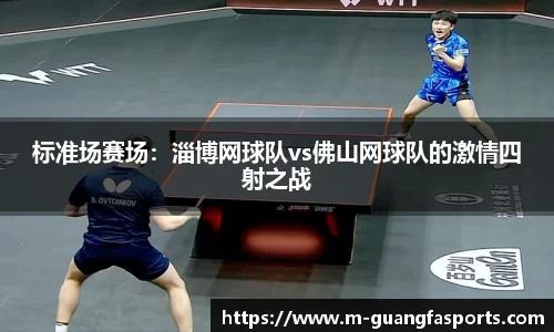 标准场赛场：淄博网球队vs佛山网球队的激情四射之战