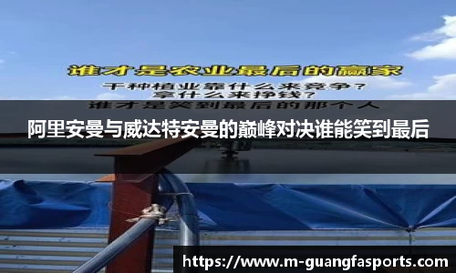 阿里安曼与威达特安曼的巅峰对决谁能笑到最后